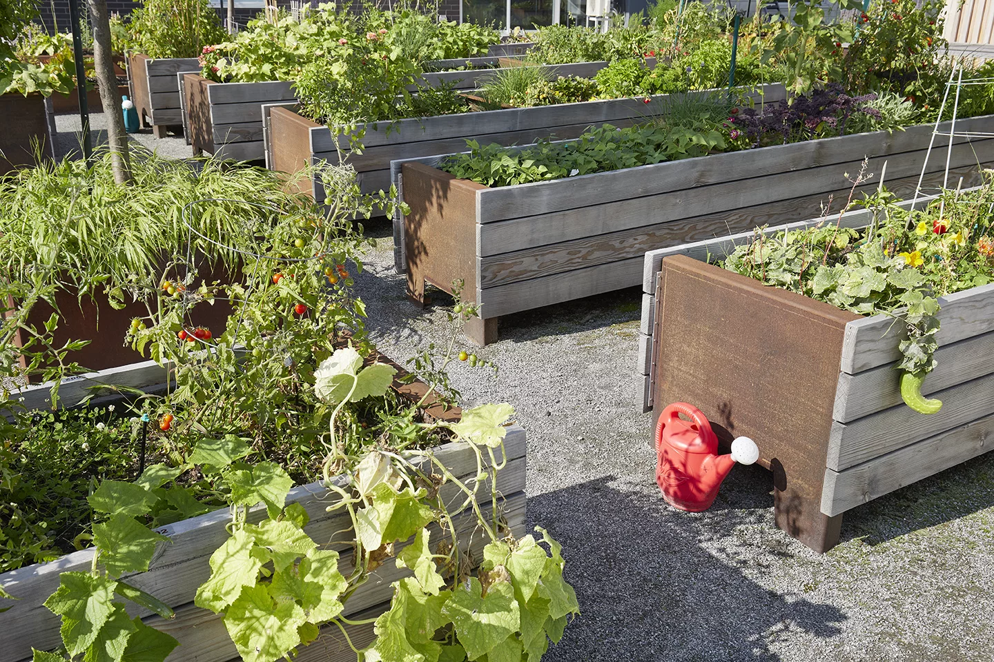 Vue des bacs potagers dans la cour extérieure de Cloria Vallée du Richelieu.