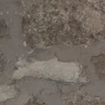 Mur de pierres.