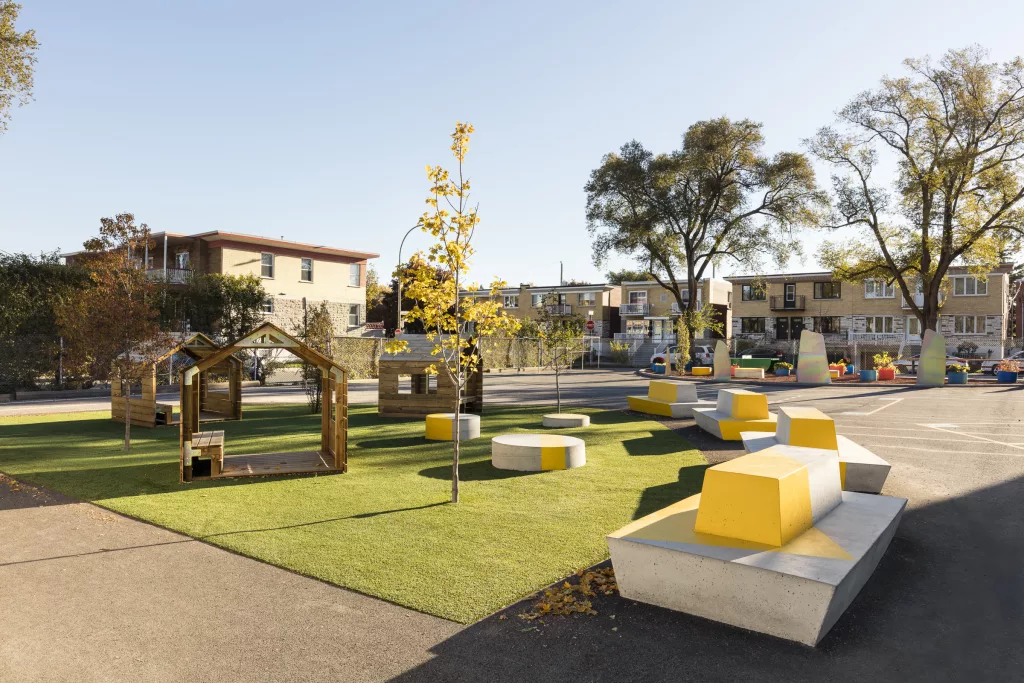 Une vue d'ensemble de l'espace gazonné de la cour d'école de l'école Sainte-Anne, où quatre arbres ont été plantés. 