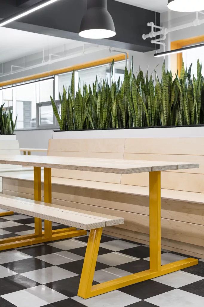 Une banquette de bois clair surplombée de plantes et une table de picnic d'acier jaune et de bois dans le salon étudiant.