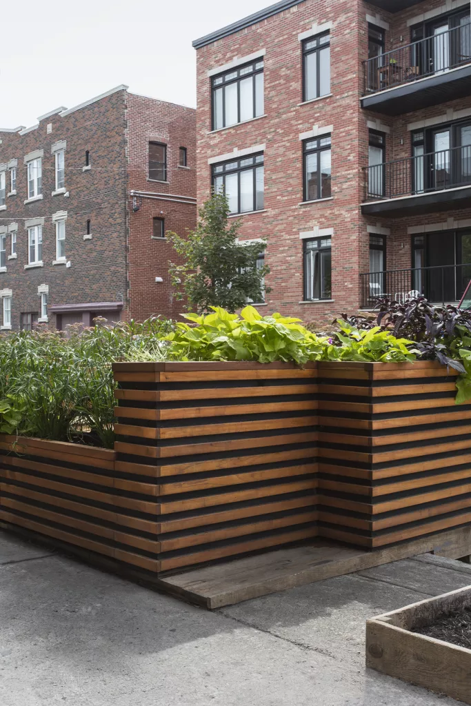 L,extérieur de la terrasse du Miss Villeray est faite de lattes de bois longitudinales, avec plusieurs plantes dans des bacs intégrés.