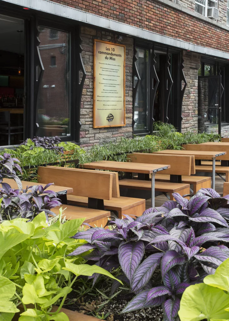 Des plantes colorées arborent la terrasse du bar Miss Villeray.