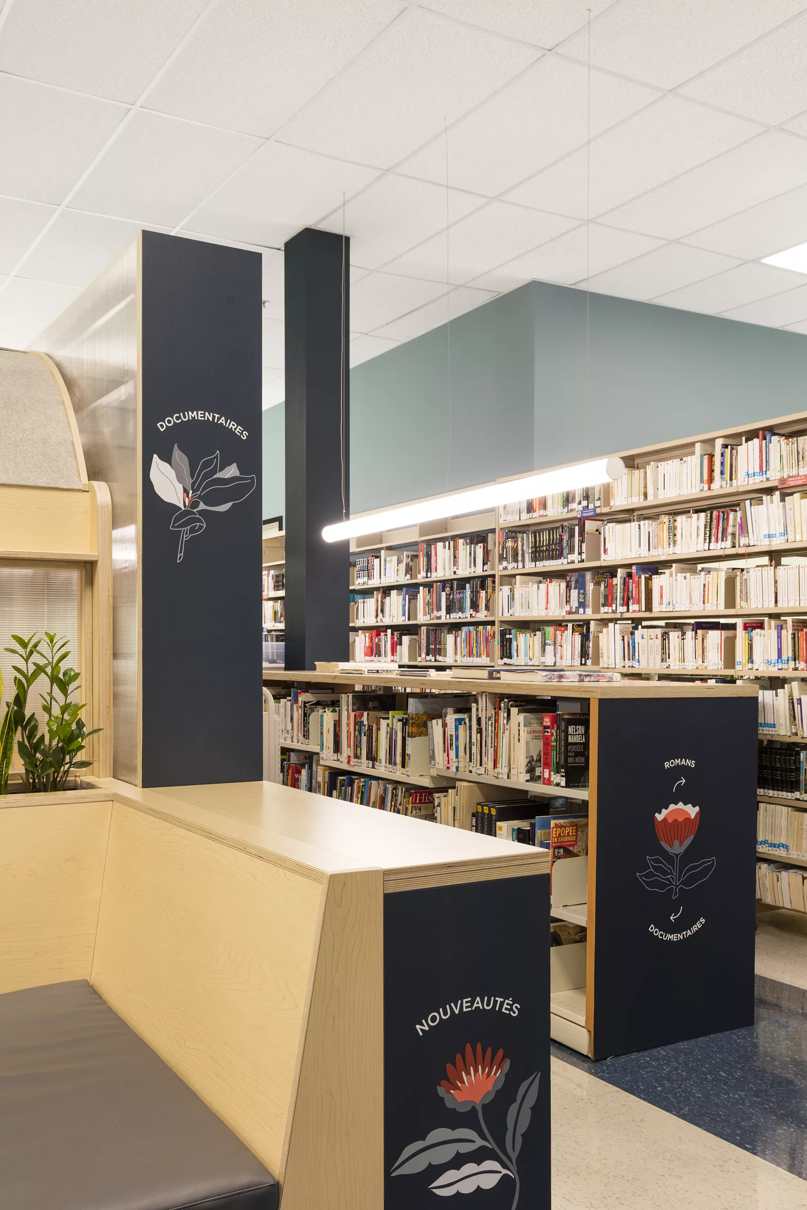 Une vue de la bibliothèque du Collège Saint-Hilaire. On y voit des rayons de livres et des interventions graphiques.
