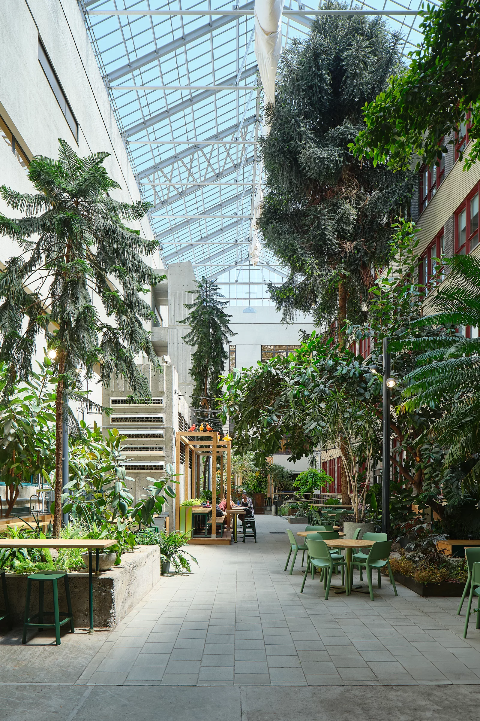 Vue générale de l'aménagement du jardin intérieur au Collège de Maisonneuve. Une cour intérieure fermée par un toit dans laquelle poussent de nombreux végétaux.