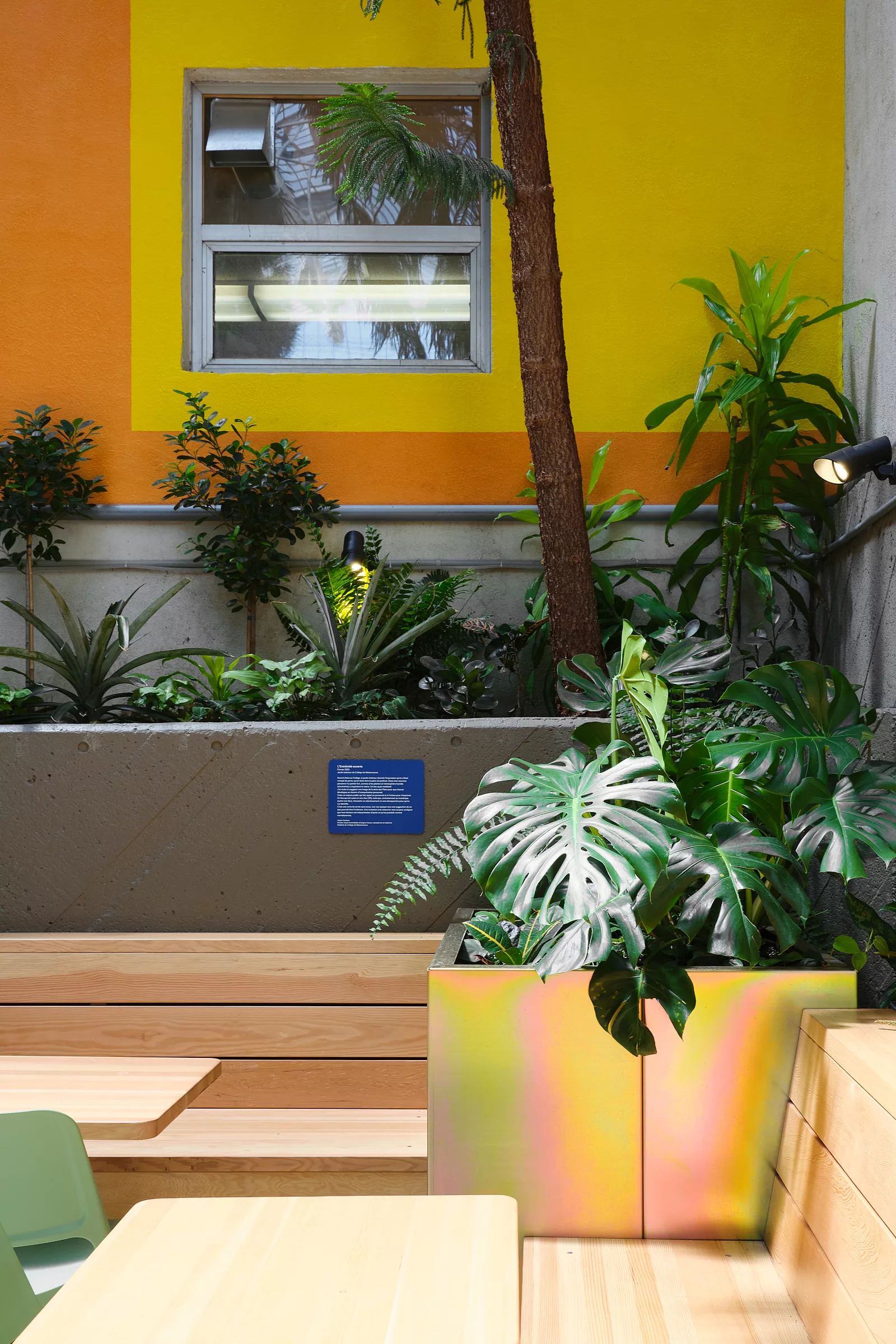Détail de la murale abstraite peinte au jardin intérieur du Collège de Maisonneuve.
