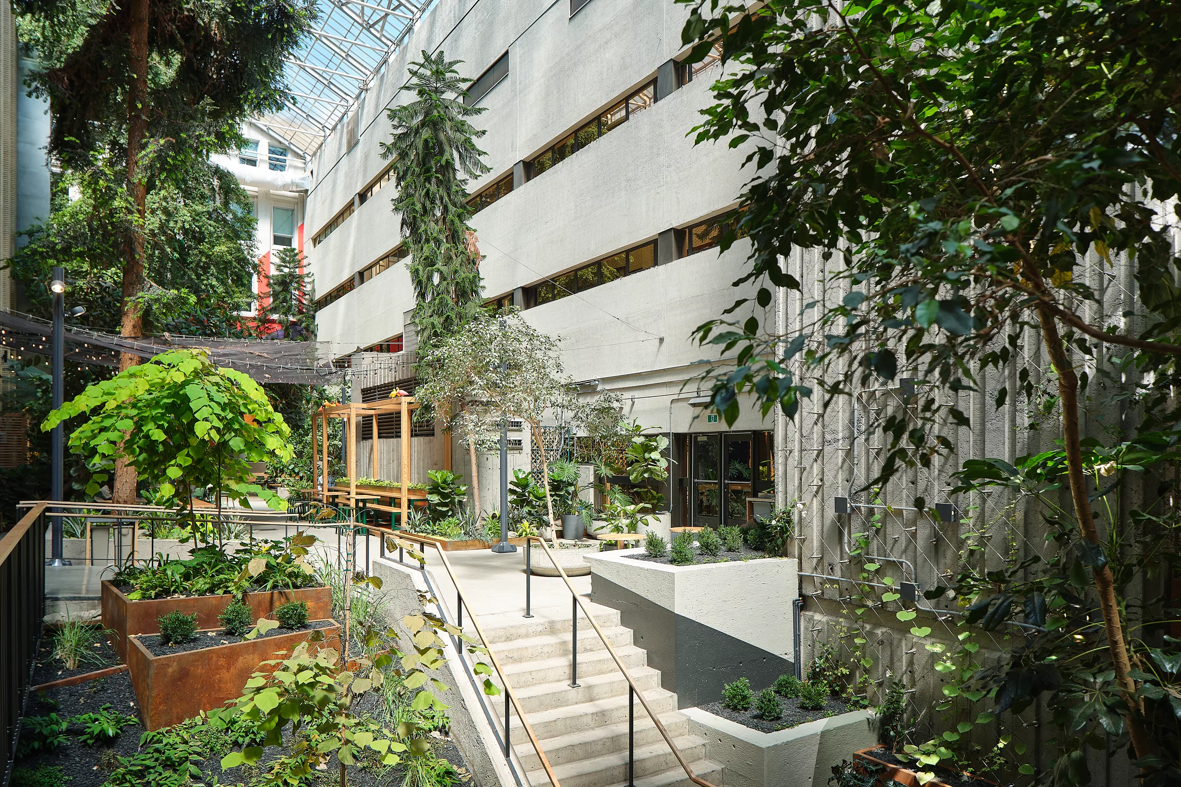 Vue générale de l'aménagement du jardin intérieur au Collège de Maisonneuve. Une cour intérieure fermée par un toit dans laquelle poussent de nombreux végétaux.