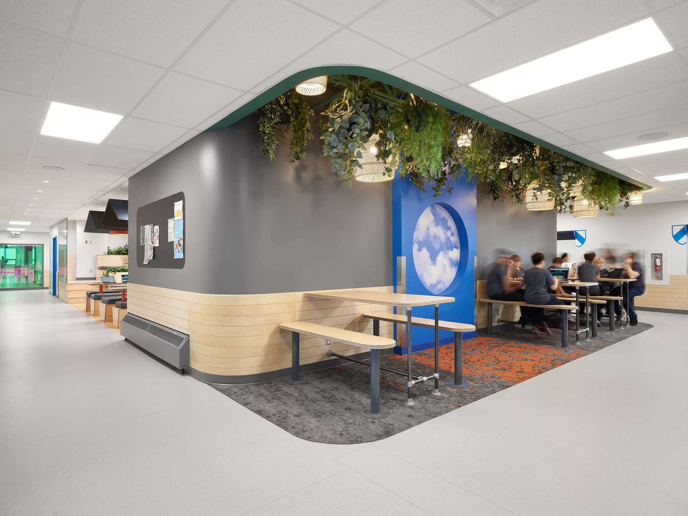 Espace de travail et détente, avec de la végétation descendant du plafond et un cercle mural illustrant du ciel bleu au Collège Sainte-Anne, Pavillon Marie Esther.