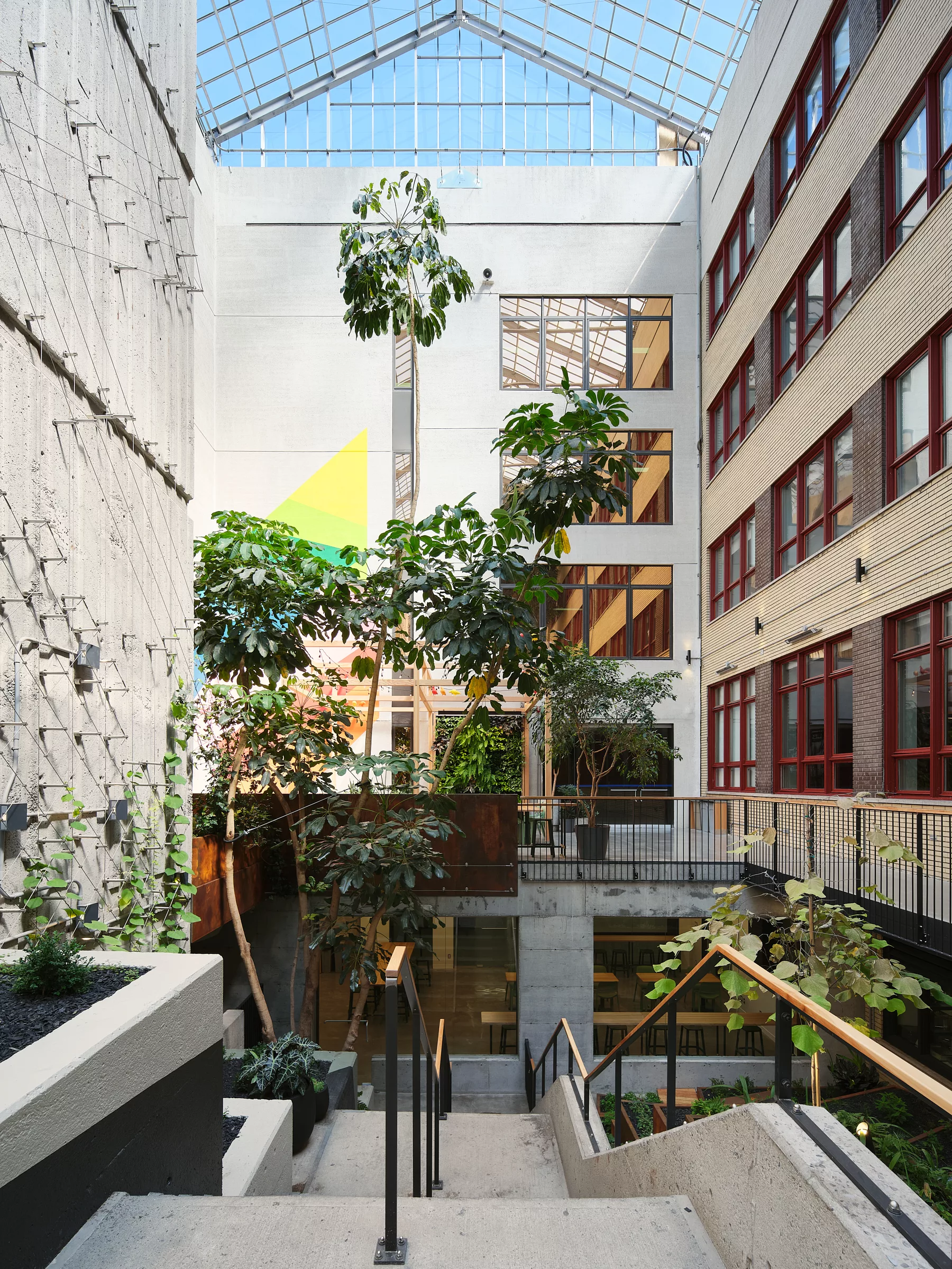 Vue générale de l'aménagement du jardin intérieur au Collège de Maisonneuve. Une cour intérieure fermée par un toit dans laquelle poussent de nombreux végétaux.