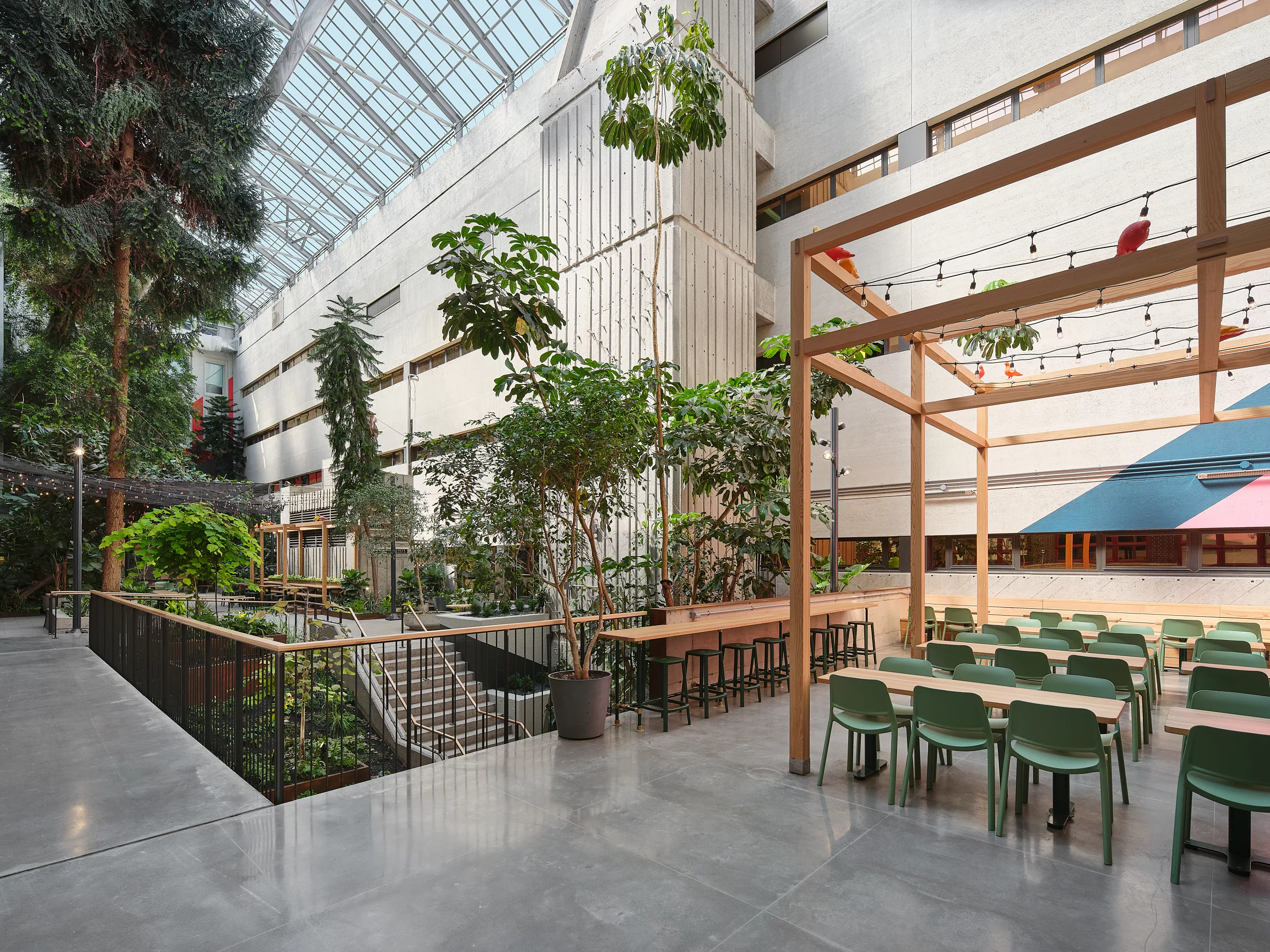 Vue générale de l'aménagement du jardin intérieur au Collège de Maisonneuve. Une cour intérieure fermée par un toit dans laquelle poussent de nombreux végétaux.