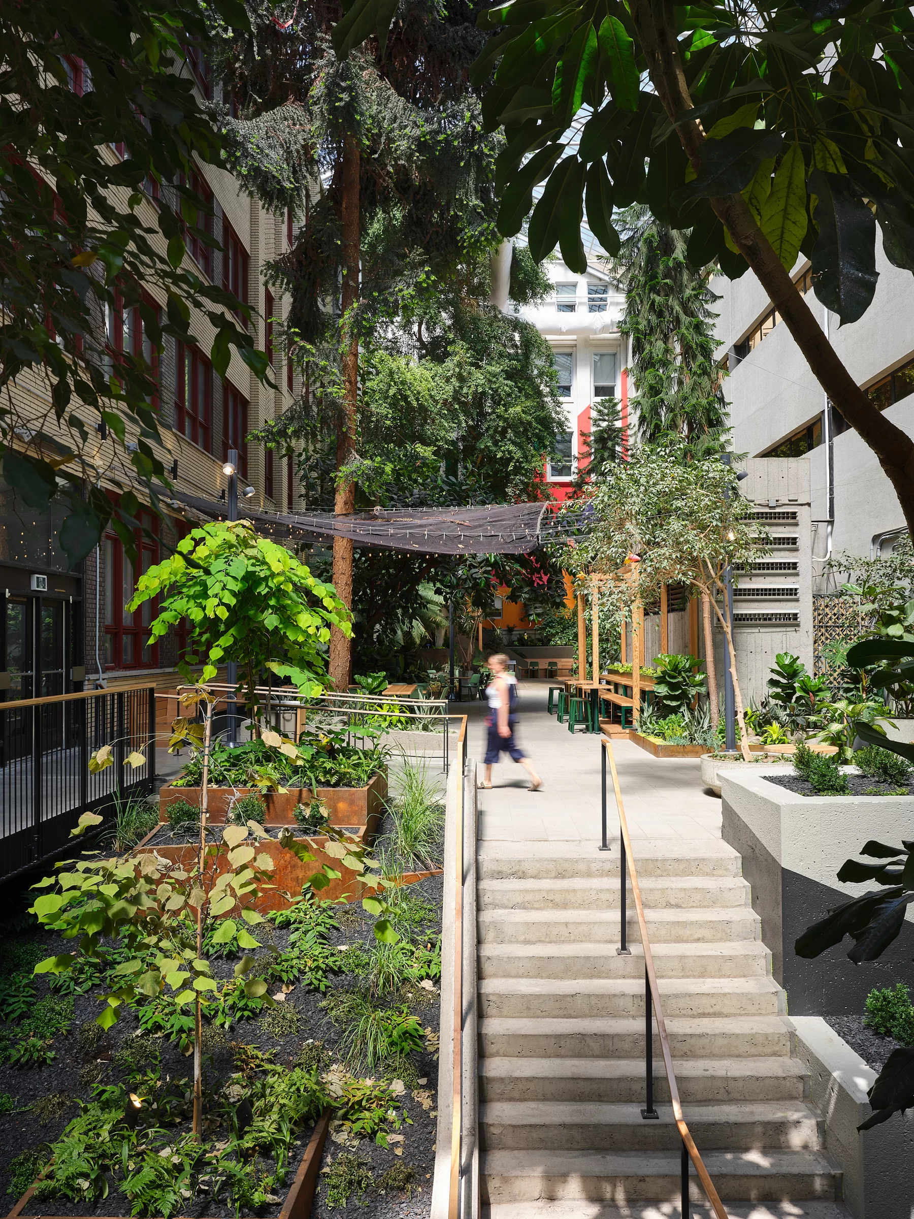 Vue générale de l'aménagement du jardin intérieur au Collège de Maisonneuve. Une cour intérieure fermée par un toit dans laquelle poussent de nombreux végétaux.
