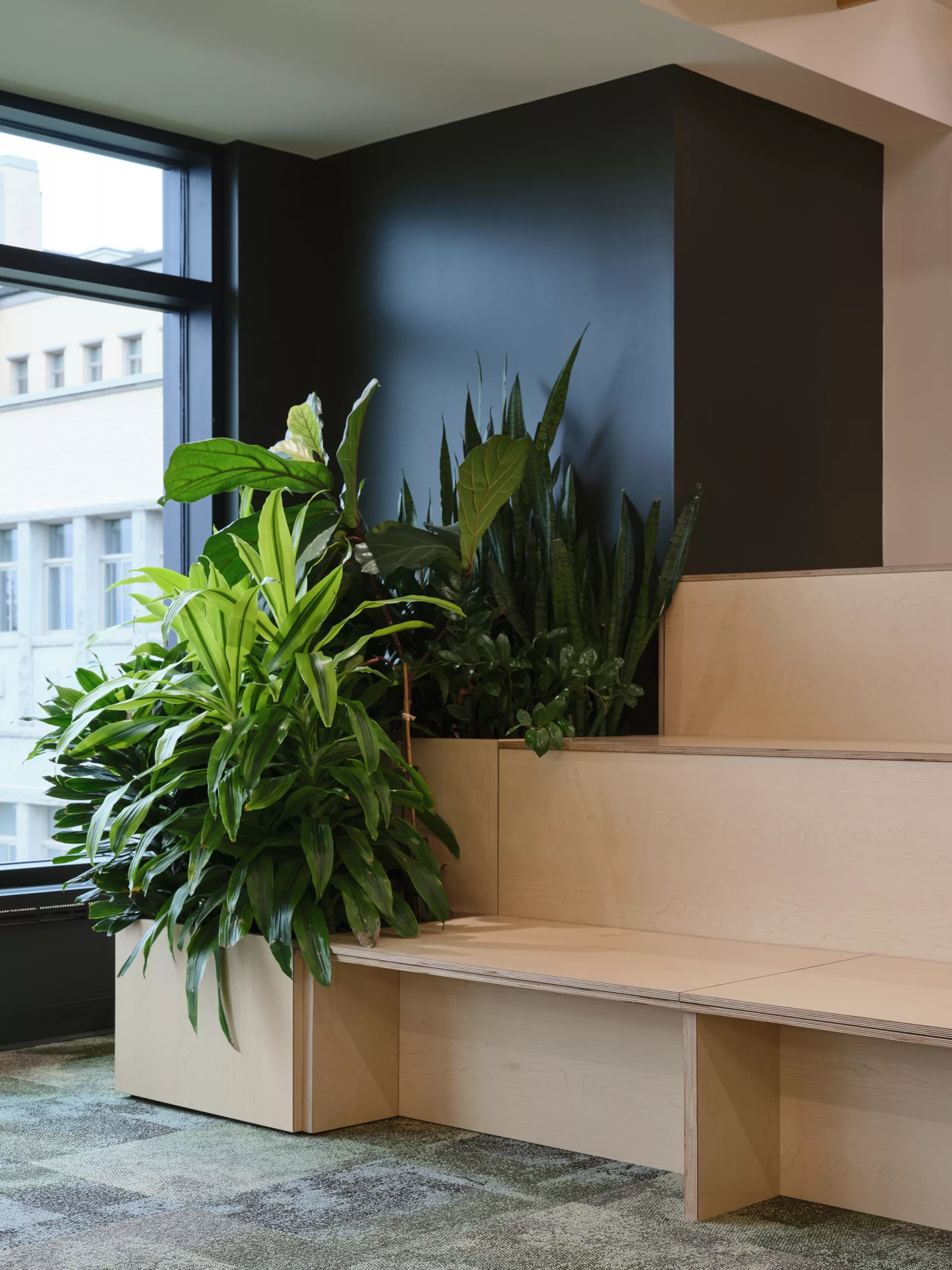 Détail de mobilier et d'intégration de plantes au pavillon sportif de l'Externat Sacré-Coeur.