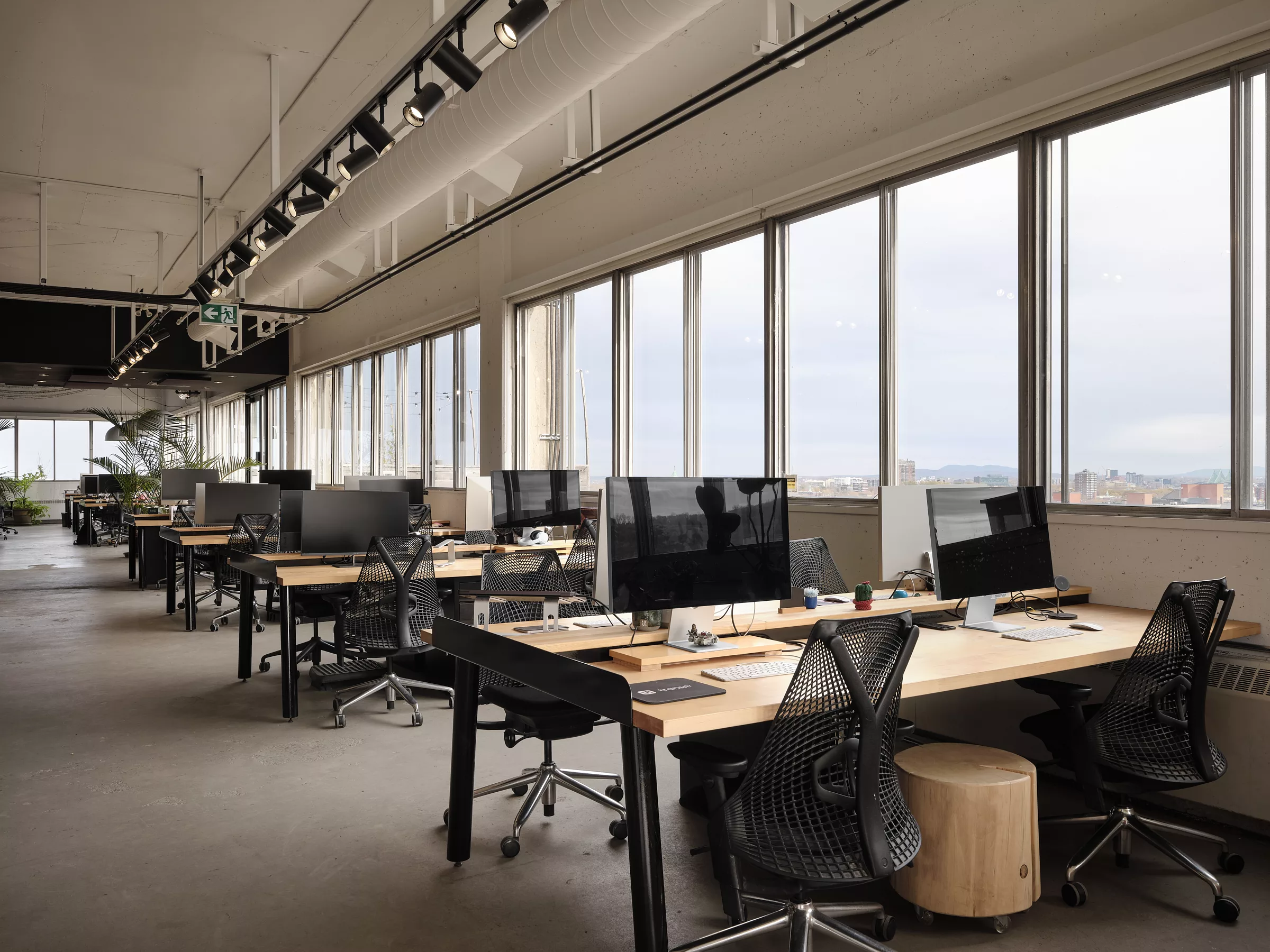 Vue des nouveaux espaces de travail dans les nouveaux bureaux de Transit.