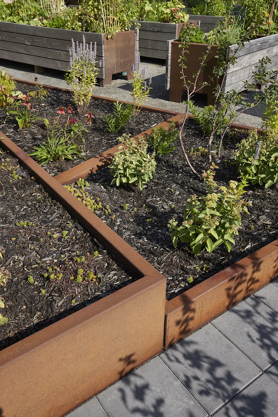 Détail du bac récif en acier par Taktik Design